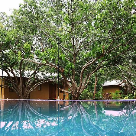 Bissa Villa Habarana Exteriör bild