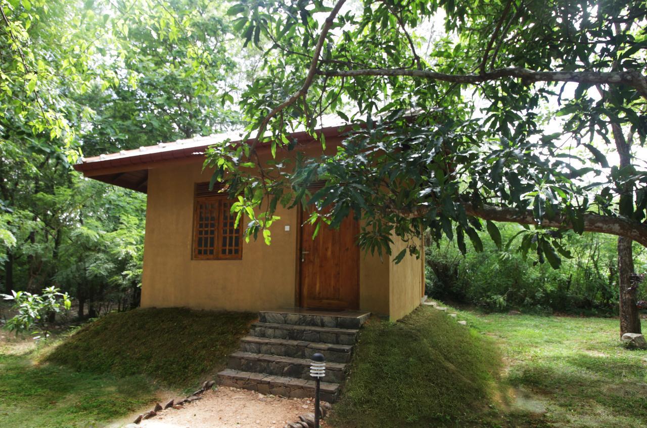Bissa Villa Habarana Exteriör bild